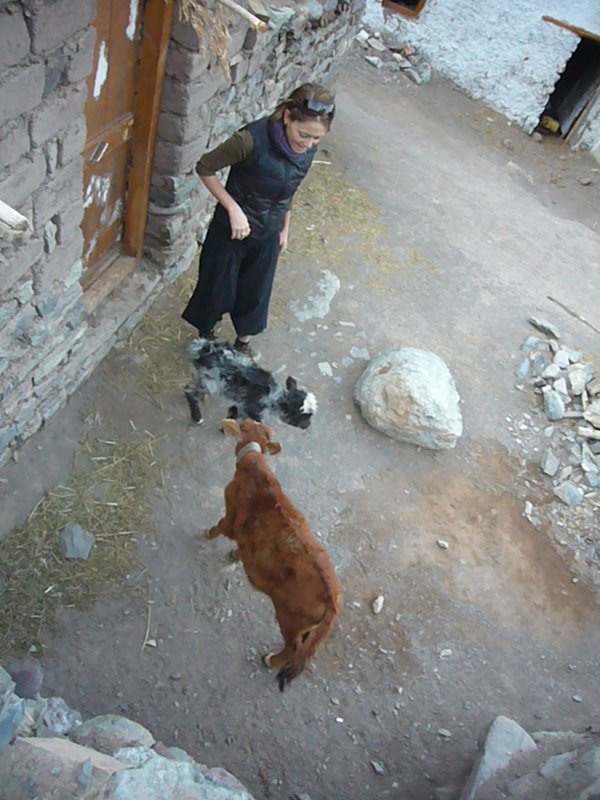 Travel - India - Ladakh - Trip to Alchi - Alchi